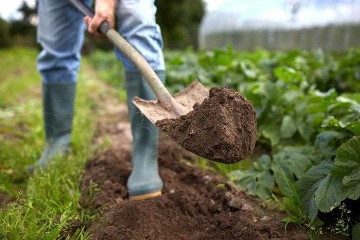 как использовать торф для удобрения почвы